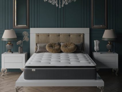 Матрас Evita SymBio Charm Relax 29
