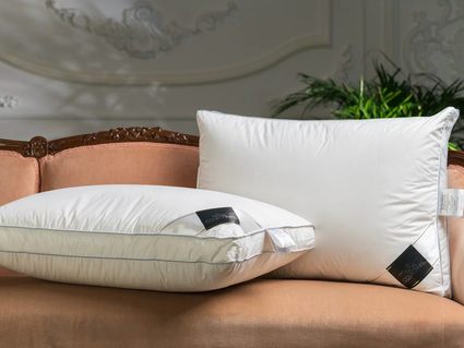 Подушка Trois Couronnes De Luxe Selection Goose Down PLUS 50х70