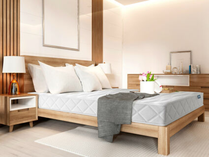 Матрас Димакс Relmas Foam 3Zone 25