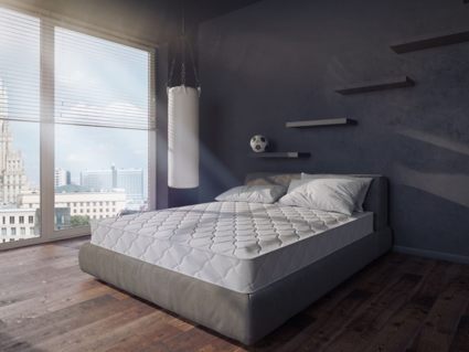 Матрас Evita Synergy Plus 25