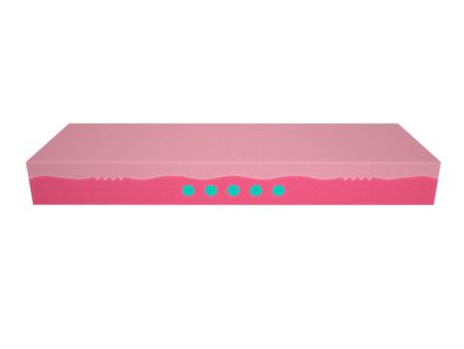 Матрас Mr.Mattress BioGold Hard 35
