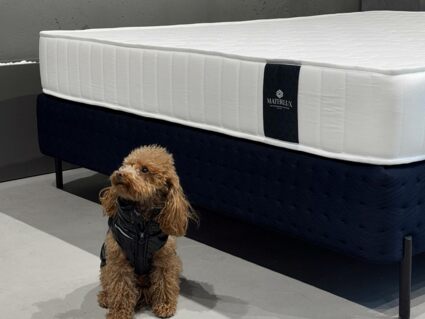 Матрас Materlux Redcliffe 70х160