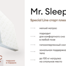 Матрас Мистер Слип Special Line старт плюс 70х120