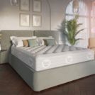 Матрас Evita Basis 200х186
